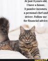follow cats for lifestyle advice.jpg