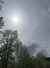 IMG_9115.jpeg