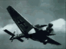 IMG_6393.gif IMG_6393.gif