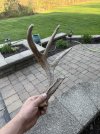 IMG_0835.jpeg