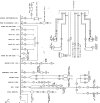 ACA elec - bus.jpg