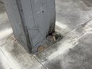 IMG_0875.jpeg