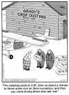 FB_IMG_1746613194314.jpg