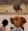FB_IMG_1746847506713.jpg