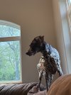 IMG_1021.jpeg