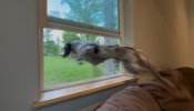 IMG_1023.jpeg