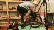 1747426876119.gif