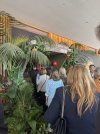 IMG_9320.jpeg
