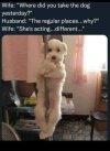 IMG_3271.jpeg