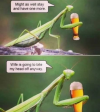 1747488976422.png