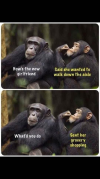 1748032902949.png