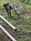 IMG_1081.jpeg