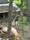 IMG_1091.jpeg