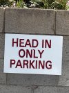 IMG_8646.jpeg