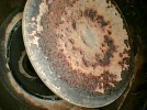 IMG_5429.png