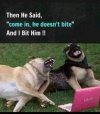 IMG_3351.jpeg