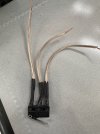 IMG_5531.jpeg IMG_5531.jpeg