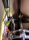 IMG_5547.jpeg