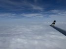 IMG_9071.jpeg