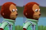 suspicious muppet.jpg