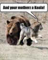 IMG_3373.jpeg