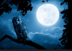 1750871626367.png