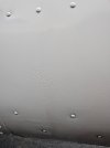 IMG_0593.jpeg