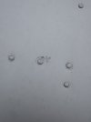IMG_0596.jpeg