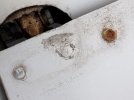 IMG_0595.jpeg