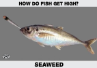 1751328366725.png