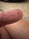 IMG_6197.jpeg
