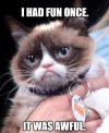 Grumpy_Cat_meme_example.jpg