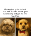 1751865263004.png