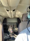 IMG_1674.jpeg