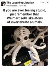 1752925193513.jpeg 1752925193513.jpeg