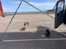 IMG_0084.jpeg