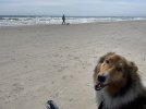 IMG_0087.jpeg
