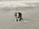IMG_0089.jpeg