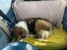 IMG_0094.jpeg