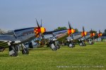 RED_8837-1.JPG