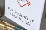 1753647716588.png