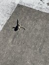 IMG_0174.jpeg
