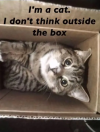1754422484118.png