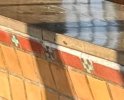 IMG_9220.jpeg