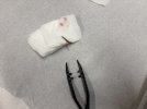 IMG_5658.jpeg IMG_5658.jpeg