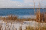 DSC_4978.jpg DSC_4978.jpg