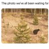 FB_IMG_1756081863955.jpg