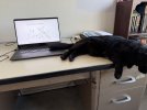 IMG_6215.jpeg