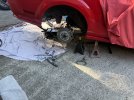 IMG_5753.jpeg