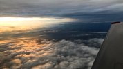IMG_1544.jpg